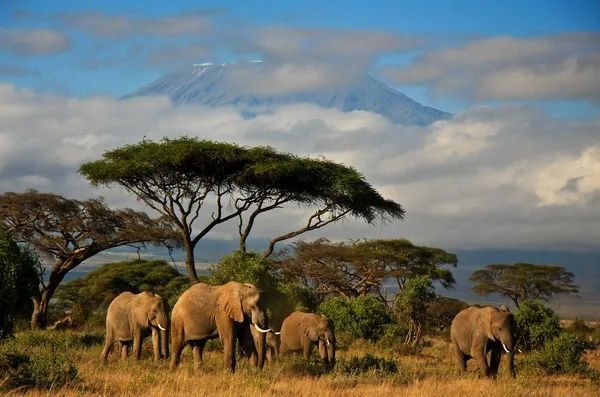 KENYA